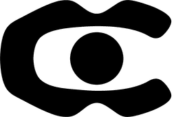 Camera Search